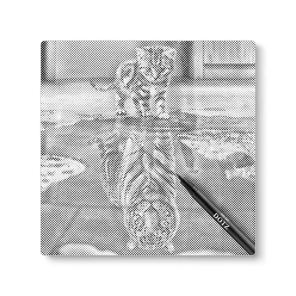 Kitten reflection | Dot painting-Oh My Dotz-Dot painting