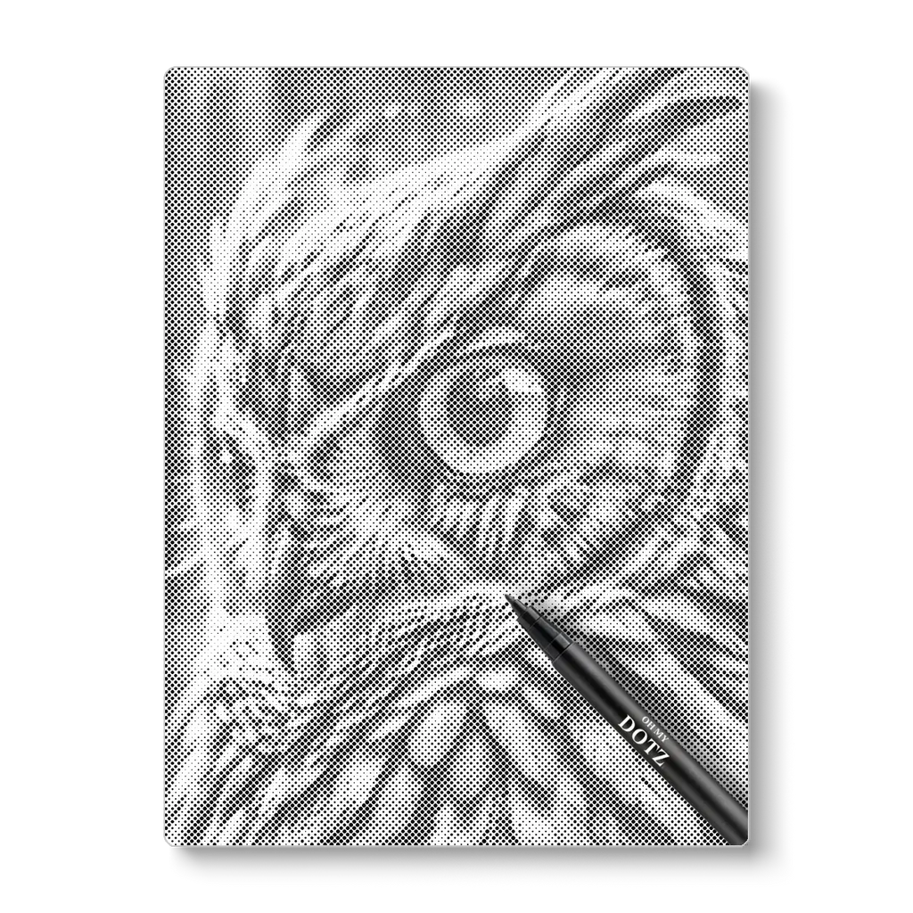 Owl | Dot painting-Oh My Dotz-Dot painting