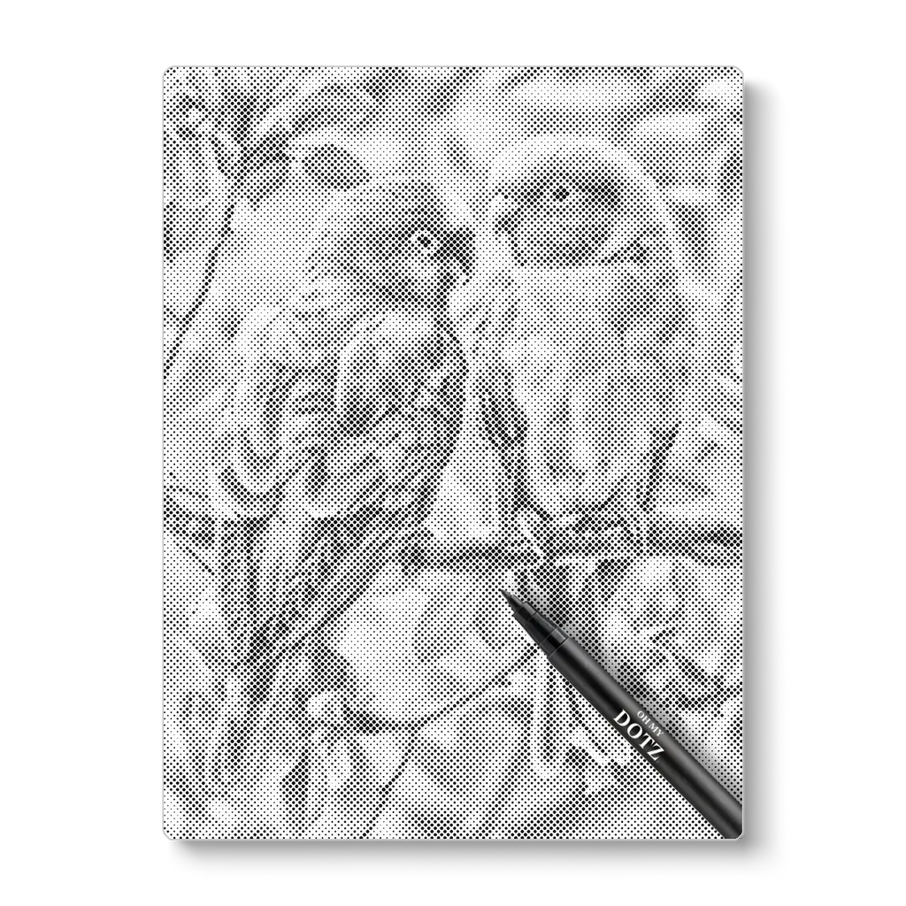 Parrots in love | Dot painting-Oh My Dotz-Dot painting