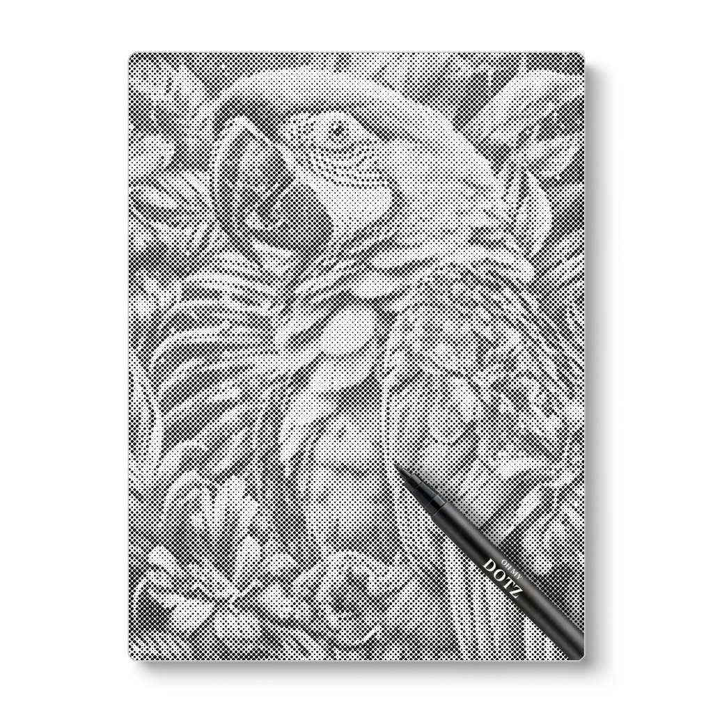 Parrot | Dot painting-Oh My Dotz-Dot painting