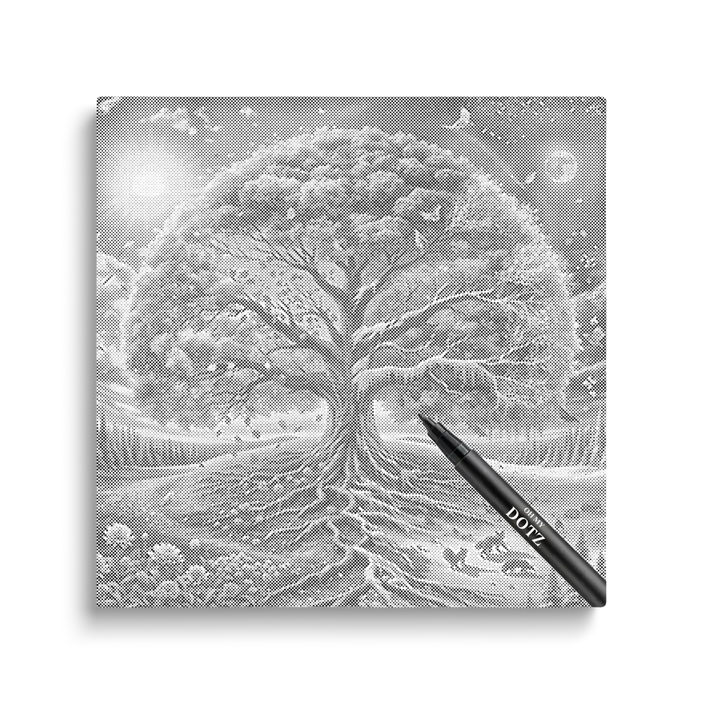 Oh My Dotz Dot Painting Eigen Foto Alternatief Voor Diamond oh-my-dotz-dot-painting-eigen-foto-alternatief-voor-diamond