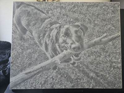 Eigenes Foto-Dot-Painting, gemacht von einer Kundin