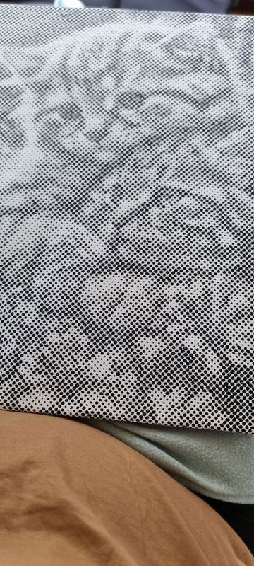 Eigenes Foto-Dot-Painting, gemacht von einer Kundin