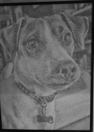 Eigenes Foto-Dot-Painting, gemacht von einer Kundin