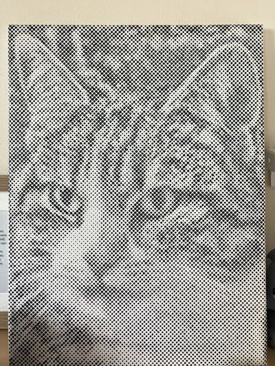 Eigenes Foto-Dot-Painting, gemacht von einer Kundin
