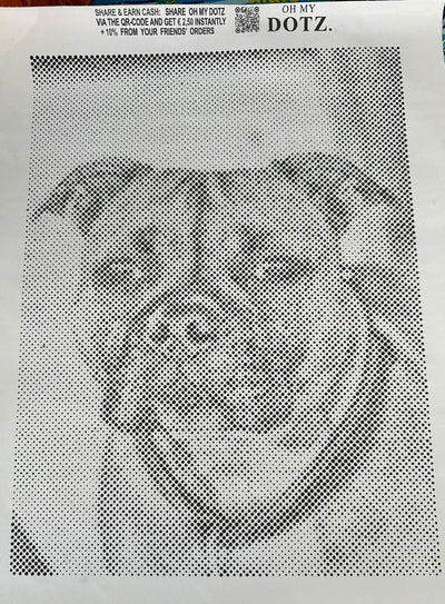 Eigenes Foto-Dot-Painting, gemacht von einer Kundin