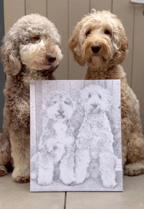 Eigenes Foto-Dot-Painting, gemacht von einer Kundin